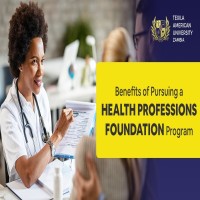 Health Professionals Foundation Program HPFP  TAU Zambia